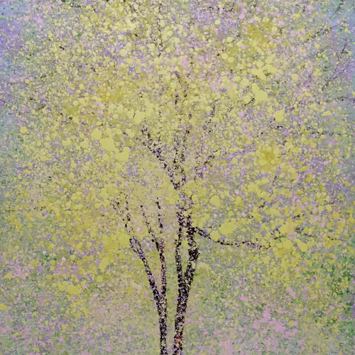 Season changs Collection