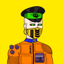 30387844576134801913895584376002755778879493732219930374625396254038089007105