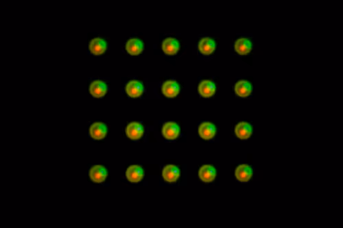 Item #106341816645777573938674110278491376364599424658286782072940899460612102291457 Media