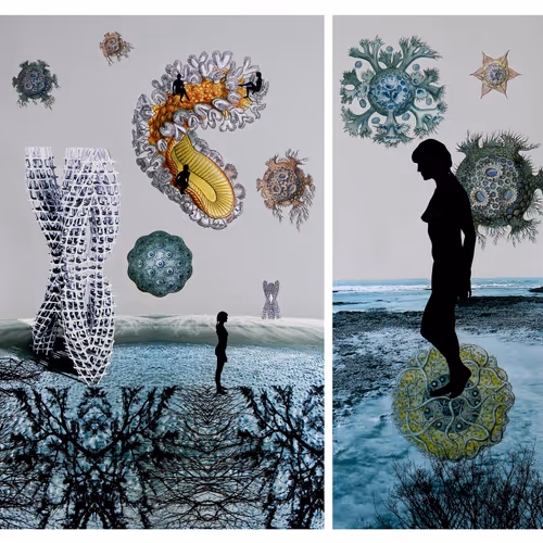 495481811379815144822817045191940406025038668845752407780709704705234698241