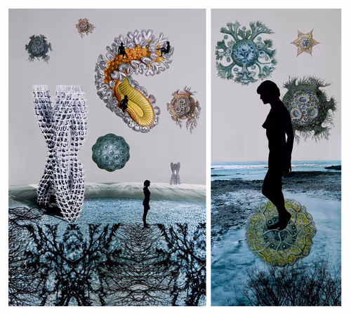 Item #495481811379815144822817045191940406025038668845752407780709704705234698241 Media