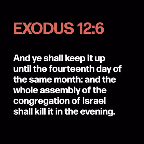 Item #22053356606985035317572807567829034573317121579682343289603635374745114902529 Media