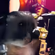 108450708106229657807954631574873484757995218735650426018252074390108506161153