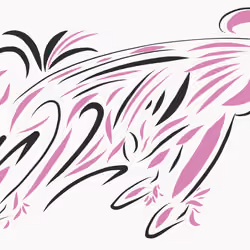MemoryRabbit