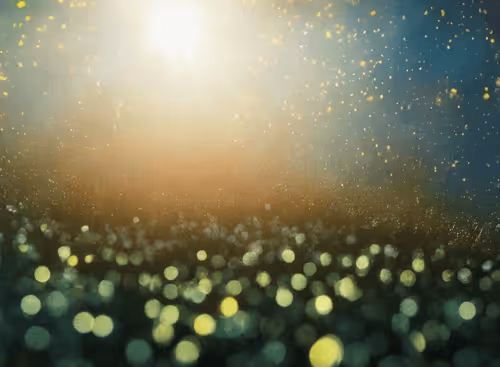 Item #98695163844141812296559601516468632585703412525772017875852753101033694035969 Media