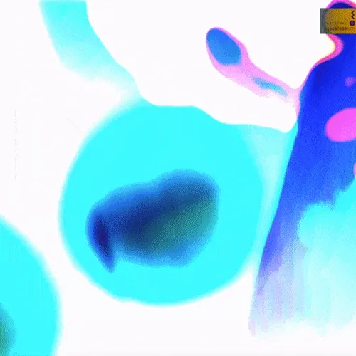 Item #90620065648373492361643371258411398171299878378245602300281469866910662262785 Media