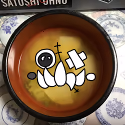 PATCH-CAT MISOSHIRU