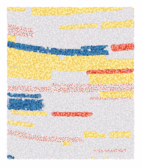 Item #52025187102996137677859127967311830248324941984996569315371677302057554935809 Media