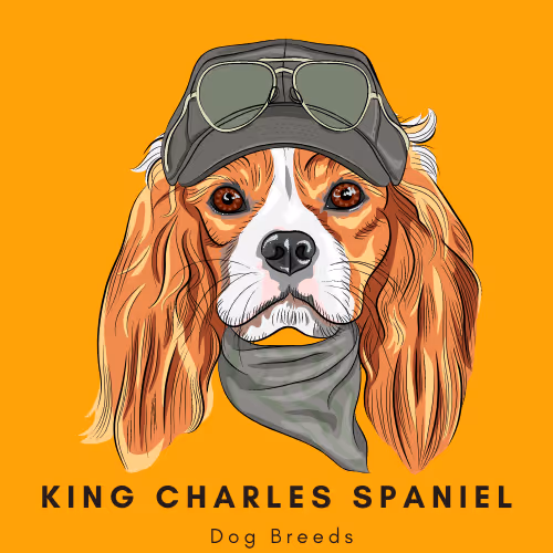 Item #102435799496306094734793923269386745647945406749022464082574321235603679608833 Media