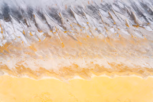 Item #30006959311443185004214998221159267460305523882483660266177696131686548373505 Media