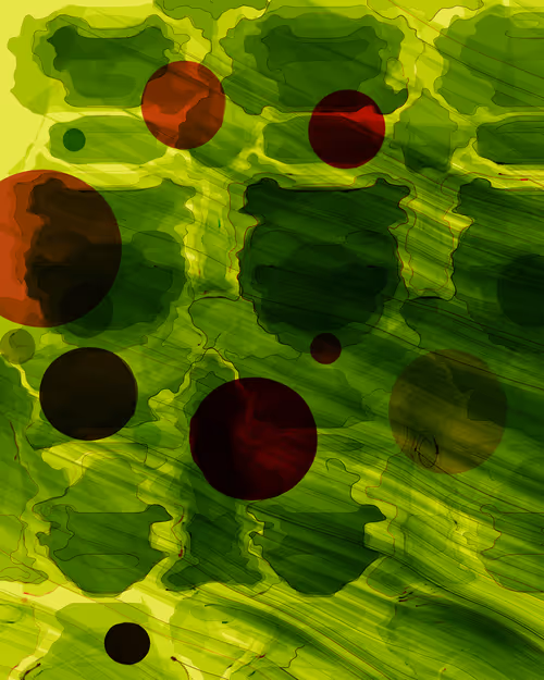 Item #46324335966005134489359889852548900547468907611747407073082690448493778042881 Media