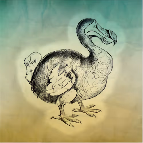 Item #17635803375648012338610213380030160191715370757553255260744606428300950110209 Media