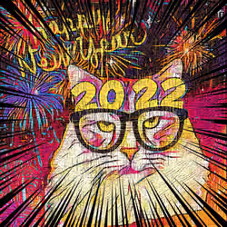 MOZART SUNGLASSES NY#2022