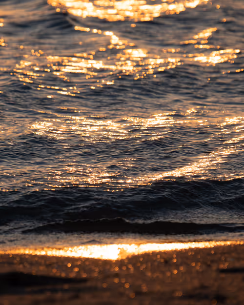 Item #61140817841535323188943582947873458398896939162862574355994582726034367447041 Media