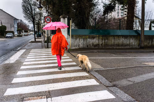 Item #88837150709499798352031986971363165703044907958800399059978422677643412373505 Media