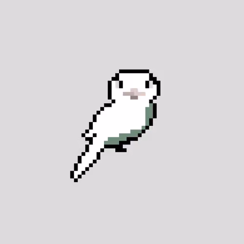 Item #88208610812636186686304945824922318467500338315993361857890686191450512687105 Media