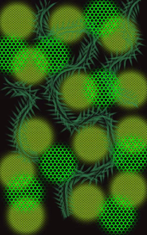 Item #72384616944036769041799038715800874134482446896893204726841098248425584984069 Media