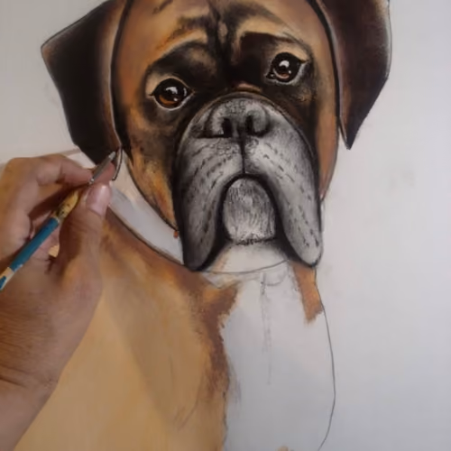 Sketch In Progress