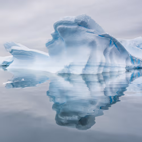 SarahCaldwell Collection - old V2