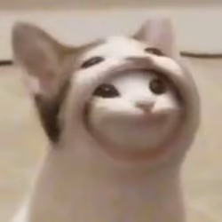 Hoodie Pop Cat