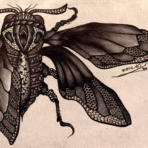 51848068981879456426967655835962977411748958395961382296505257776633459245057