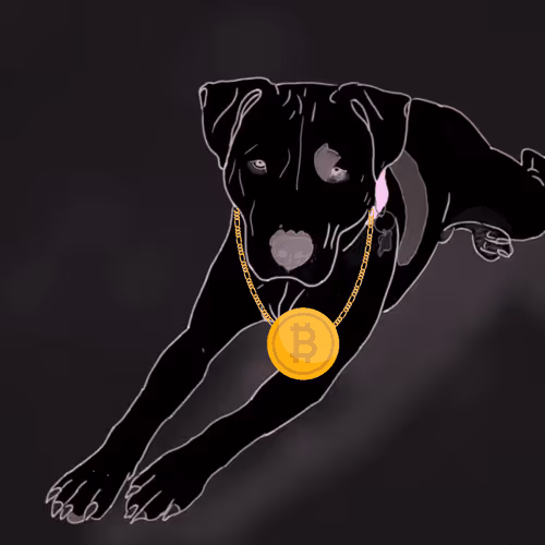 The Rescue Pit Creed