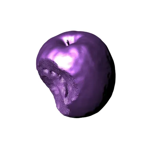 Item #24041598381426201449299921488185008517750996468726320823863715342229891448833 Media