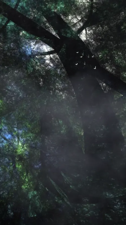 Item #32177667884503912165894813812378854339514359975732135241393141806928431677441 Media