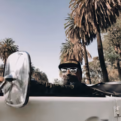 Los Angeles