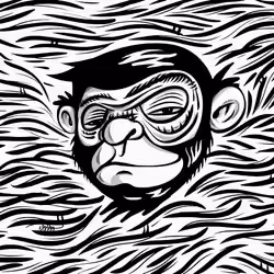 Chimp ape