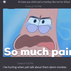 Monke Down Bad