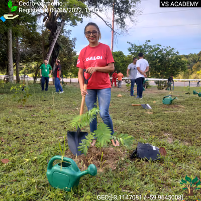 Item #8500196597889277390194123329501889087166328879864934763448348806124127911937 Media