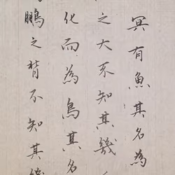 Chinese Calligraphy of Jin Shengyu#00060