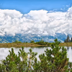 Beloved landscape #4