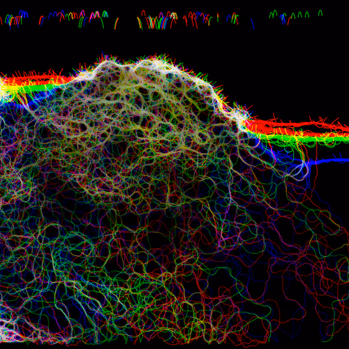 Colorvein