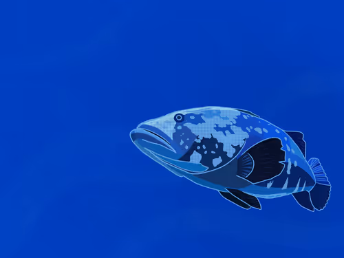 Item #29991544376831853531641748152601205290588622193500291017467897249215971065857 Media