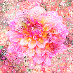 Dahlia Great Silence Distiortion #35