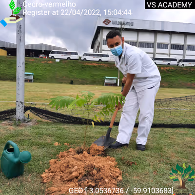 Item #8500196597889277390194123329501889087166328879864934763448348816019732561921 Media