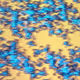 21149315424685875789217327825281662499535195790260903786459609146893606584321