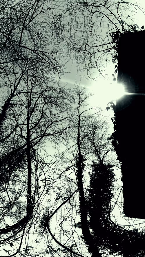 Item #24967146477419090921560663038626653354572651960968859782515528577990403293185 Media