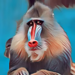 MONKEY#1_izimi