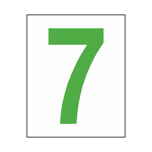 stefanopintus Collection