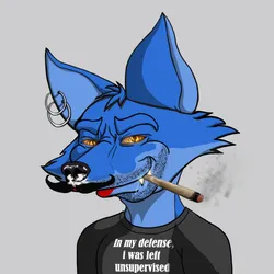 54481440793205298735061898990212315005578656052006715167163197133179574026241