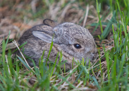 Item #19207338348144225692080396183640865546201068415206893468727031793691257733121 Media