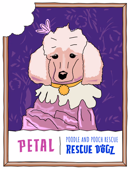 Item #30690731946652718087334591486962028713730520455891869769803774229571463806977 Media