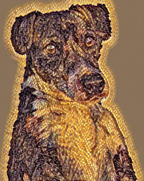 Item #78130481310736811720699625513350459712197011297885855401872198810836846772225 Media