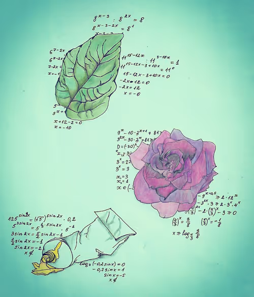 Item #36390991376323569421262646348777471378712705161451959237652915828776396390401 Media