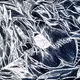 80664817980845008664008108162889966084677159737187987224059268414858091036673
