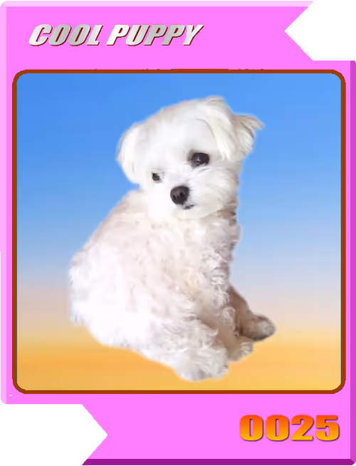 Item #21477548388787063266658748687199700189937005018840532589754440368930110308353 Media