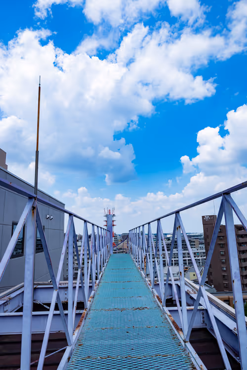 Item #85609240710973135230976347674677612252797211921103835166901622349977222119429 Media